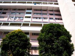 Blk 110 Bukit Purmei Road (Bukit Merah), HDB 3 Rooms #558831701